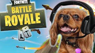 Dog Plays Fortnite  Evie The Talking Dog [upl. by Basilio]