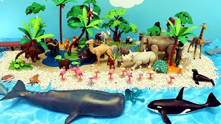 Playmobil Animals and Dinosaurs Island [upl. by Nesyrb]