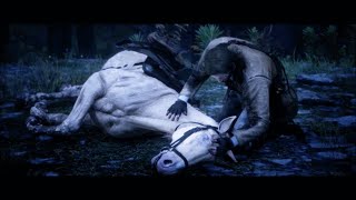 Red Dead Redemption 2  Arthur Morgans horse death scene thank you [upl. by Eniamat]