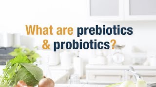 What Are Prebiotics and Probiotics  Herbalife Nutrition [upl. by Fayth]