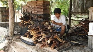 How to processing beeswax  How to harvesting beeswax [upl. by Nauwaj]