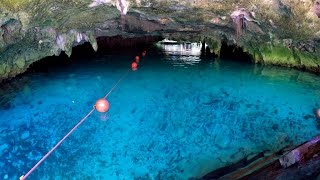 Grand Cenote Tulum Quintana Roo Yucatan Mexico Cenotes Cave Grotto POV swimming snorkeling GoPro 4K [upl. by Anoet]